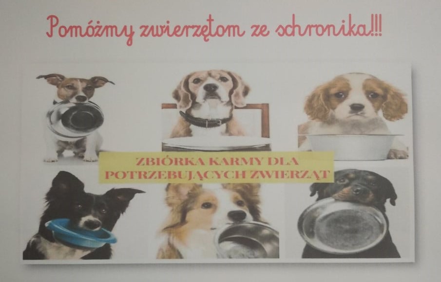 Plakat promujący akcję zbiórki karmy.